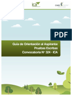 Guia Orientacion Pruebas Escritas Ica PDF