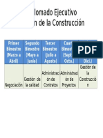 Diplomado Ejecutivo Gestión de La Construcción