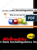 What Do Sociolinguistics Study