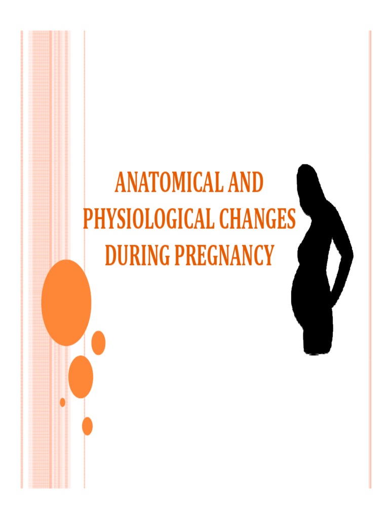 Physiological Changes During Pregnancy | PDF | Menstrual Cycle | Uterus