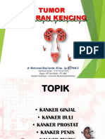 Tumor Sal Kencing Okey - Aleq PDF