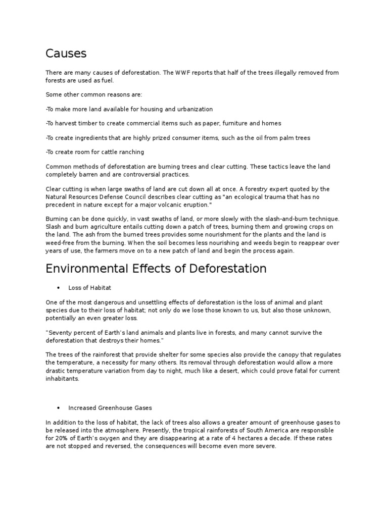 Disadvantages of deforestation essay image