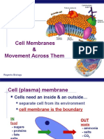 Cell Membranes & Movement Across Them: Regents Biology