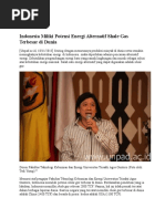 Download Indonesia Miliki Potensi Energi Alternatif Shale Gas Terbesar Di Dunia by Yoggie Surya Pradana SN319094721 doc pdf