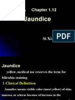 Jaundice