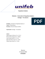 Relatório sobre experimento de viscosidade usando diferentes viscosímetros