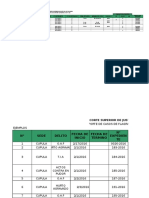 Formato de Recopilacion de Informacion Flagrancia