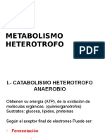 Metabolismo heterotrofo: vías metabólicas de la glucosa