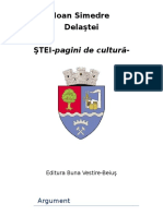 Stei - Pagini de Cultura-3