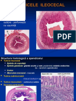 Apendice, Ficat, Pancreas-4