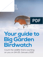 Big Garden Birdwatch Guide