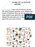 Flora y Fauna de La Region Andina