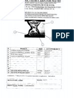 Macro Inspection Report - Master.pdf