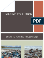12-Group 12 Marine Pollution