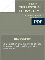 10-Terrestrial Ecosystem.pptx