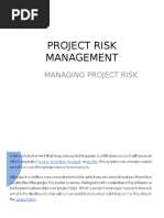 Managing Risk Project