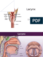 Larynx