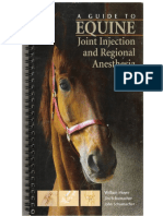 A guide to equine injection and regional anesthesia - Moyer, Jim Schumacher and John Schumacher.pdf