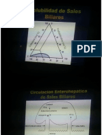 Bioquimica Dr. Basanta Lipoproteinas 04.07.16