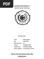 Download LAPORAN PRAKTIKUM Flora Normal Tubuh Manusia by Wiwik Septiani SN31918978 doc pdf