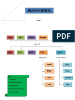 Concept Map - Human Senses