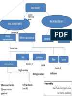 Concept Map - Nutrients