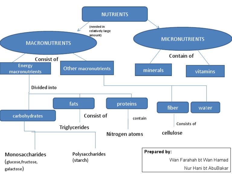 Concept Map - Nutrients