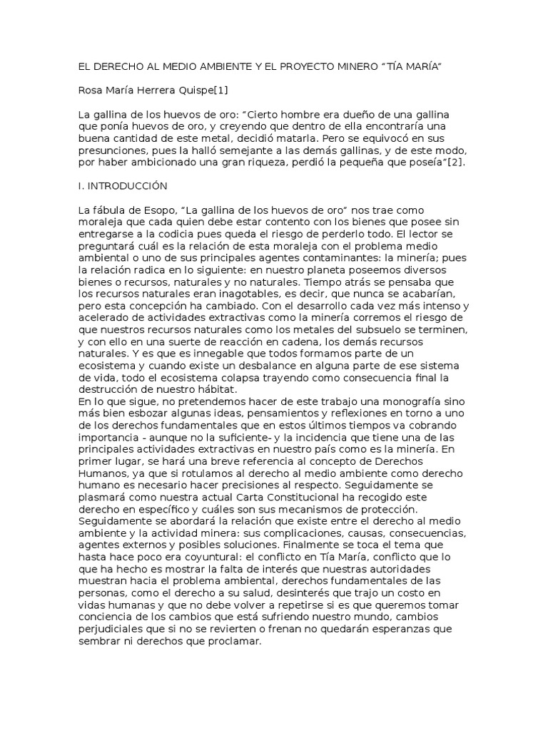 El Derecho Al Medio Ambiente y El Proyecto Minero | PDF | Evaluación de ...