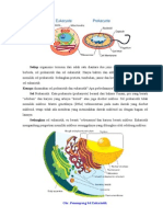 Perbedaan Sel Eukariotik & Prokariotik