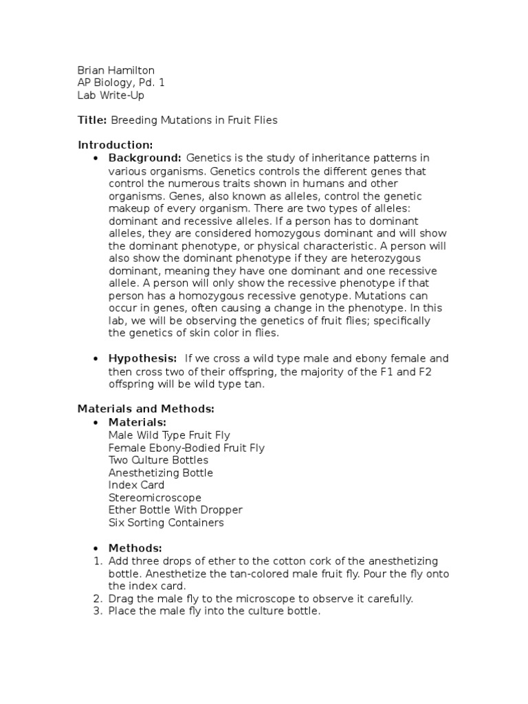 Fruit Fly Lab Dominance Allele
