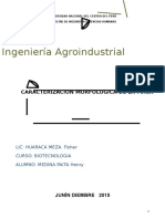 revista cientifica de la maca.docx