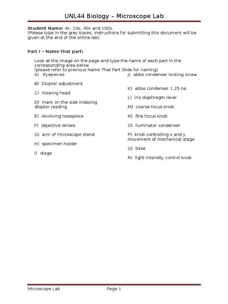 Microscope Lab Answer Document | PDF | Lens (Optics) | Zoom Lens