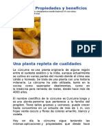 Grandes Propiedades de La Curcuma