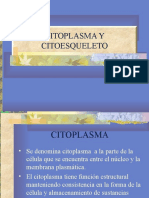 Citoplasma y Citoesqueleto