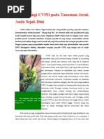 Download Tanggulangi CVPD Pada Tanaman Jeruk  by Wiwik Septiani SN31923780 doc pdf