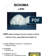7. Lipid