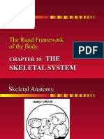 Chapter 10 The Skeletal System - sp10.ppt