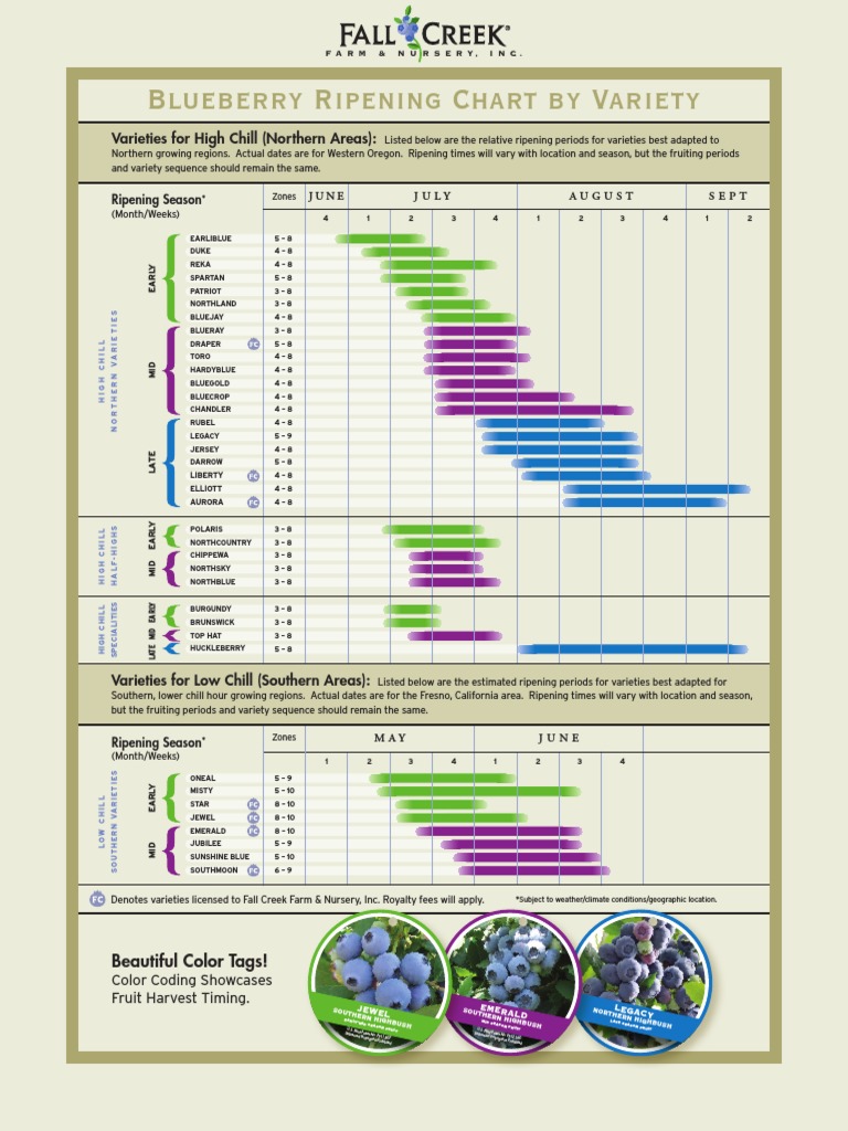 Blueberry Varieties Ripening Chart | PDF
