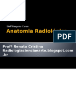 CurSo Anatomia RadioLoggica 