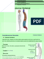 Columna Vertebral