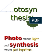 Photosynthesis