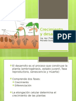 Crecimiento y desarrollo de las plantas: factores que regulan el ciclo de vida