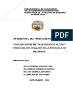 INFORME FINALDE INVESTIGACION DEL RIO OPAMAYO 2006.doc