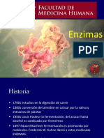 Enzimas