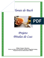 petalas_de_luz.pdf