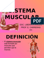 Sistema Muscular 1204687836174898 3