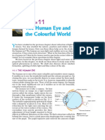 Sci10_11_human eye.pdf