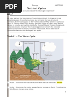 Nutrient Cycles Pogil Rennel