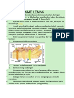 Metabolisme Lemak