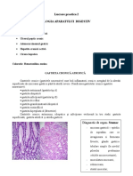 Lucrare Practica 2 Digestiv